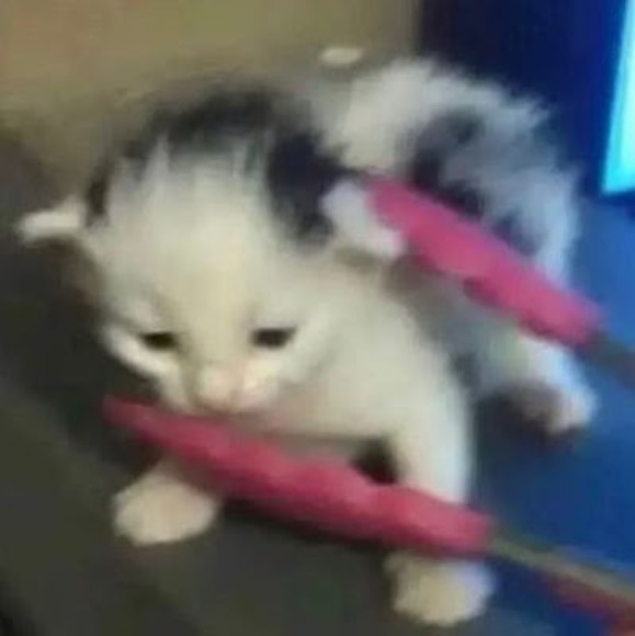 audreyunicat